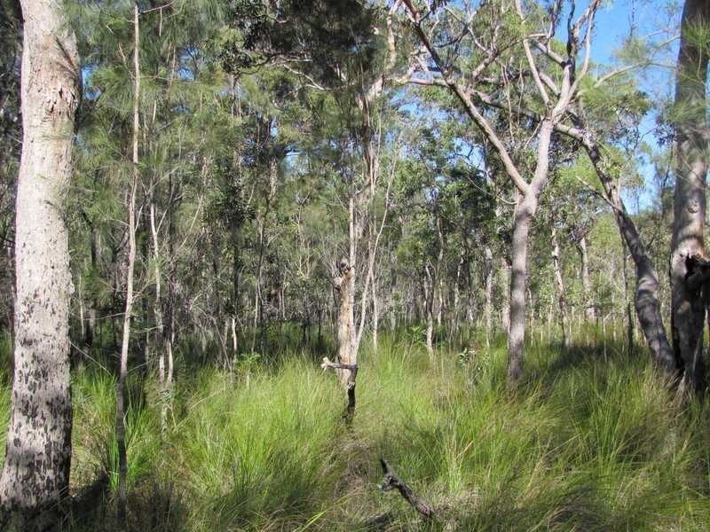 Lot 42 Bunker Road, Agnes Water QLD 4677