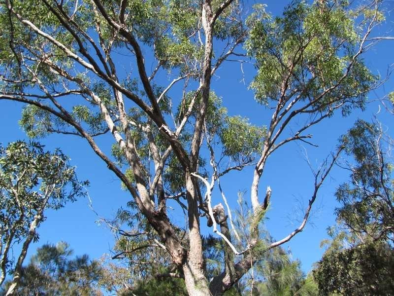 Lot 42 Bunker Road, Agnes Water QLD 4677