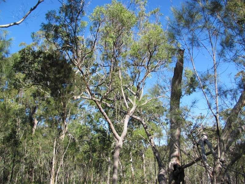 Lot 42 Bunker Road, Agnes Water QLD 4677