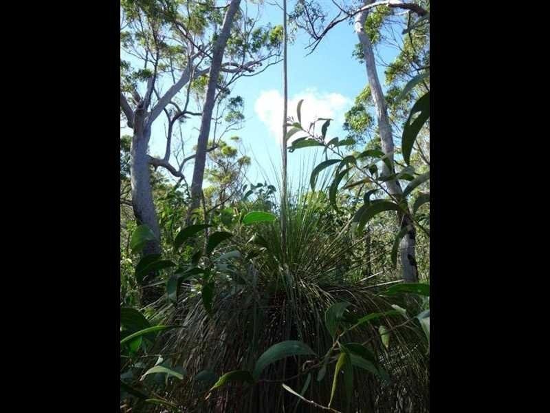 Lot 42 Bunker Road, Agnes Water QLD 4677