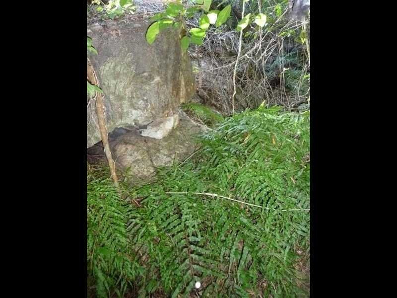 Lot 42 Bunker Road, Agnes Water QLD 4677