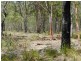 Lot 3 Round Hill Road, Round Hill QLD 4677