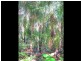 Lot 5 Beach Houses Estate Rd, Agnes Water QLD 4677