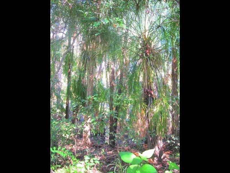 Lot 5 Beach Houses Estate Rd, Agnes Water QLD 4677