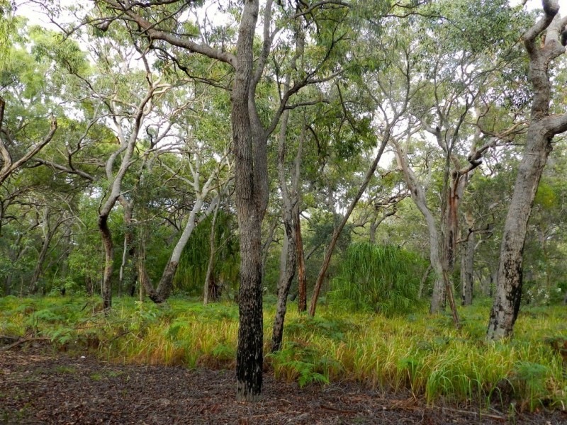 Lot 33 Bloodwood Ave Sth Sunrise, Agnes Water QLD 4677