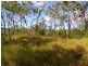 116 Avocado Crescent, Agnes Water QLD 4677