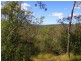116 Avocado Crescent, Agnes Water QLD 4677