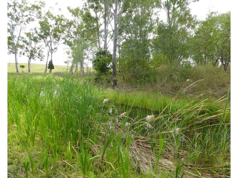 Lot 53 Dawsons Road, Berajondo QLD 4674