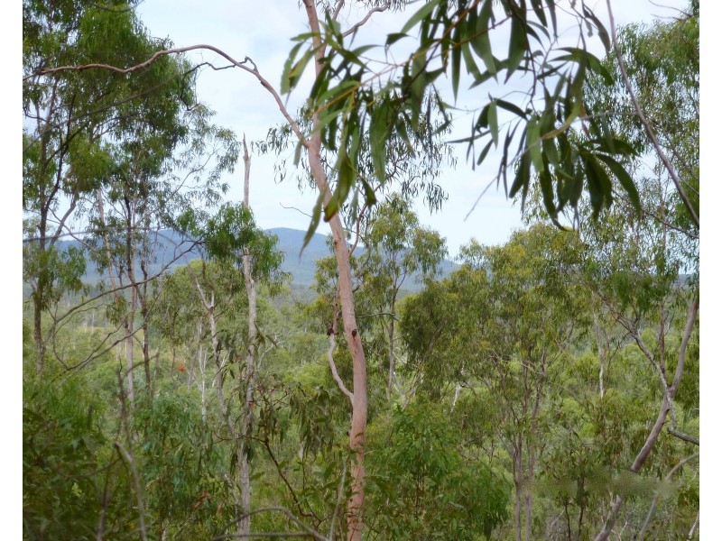 Lot 53 Dawsons Road, Berajondo QLD 4674