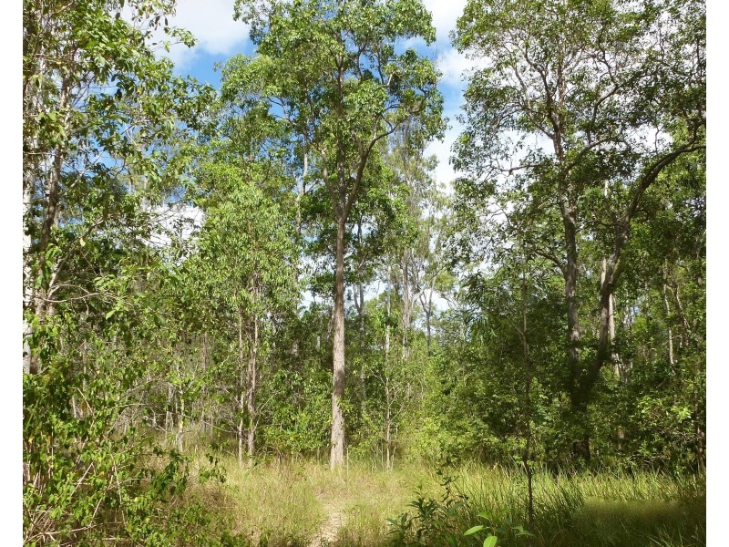 Lot 53 Dawsons Road, Berajondo QLD 4674