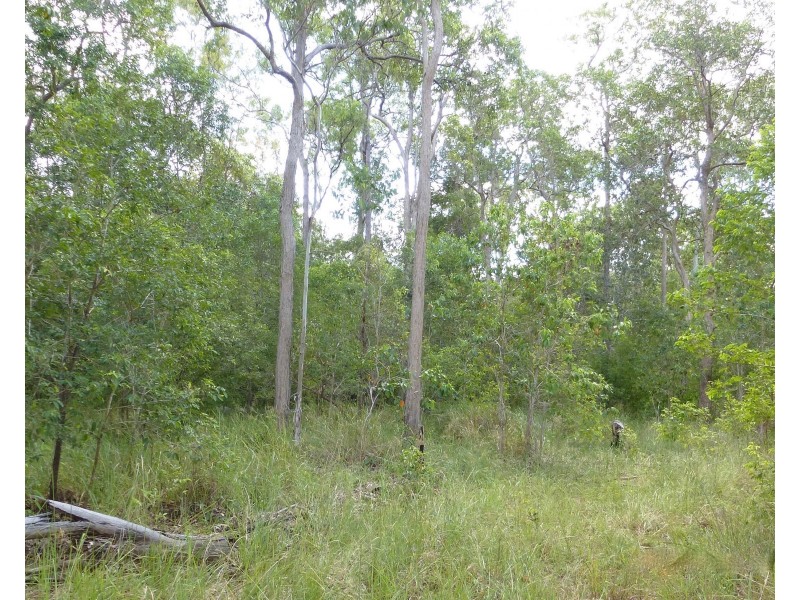Lot 53 Dawsons Road, Berajondo QLD 4674