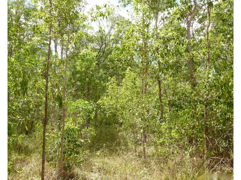 Lot 53 Dawsons Road, Berajondo QLD 4674