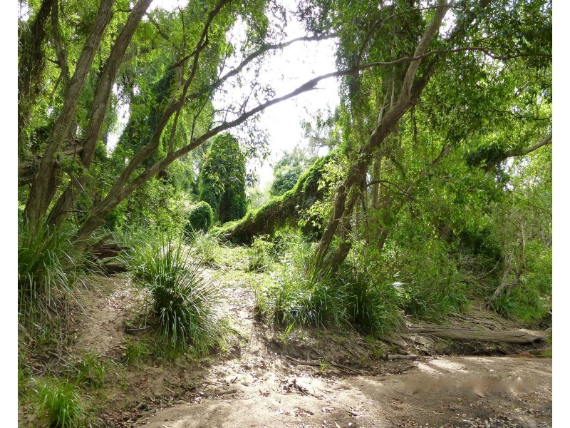 Lot 53 Dawsons Road, Berajondo QLD 4674