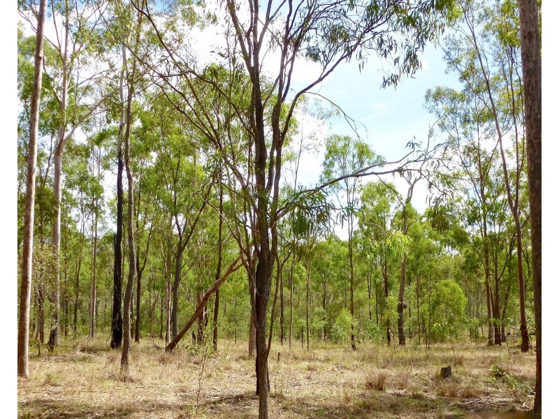 Lot 53 Dawsons Road, Berajondo QLD 4674