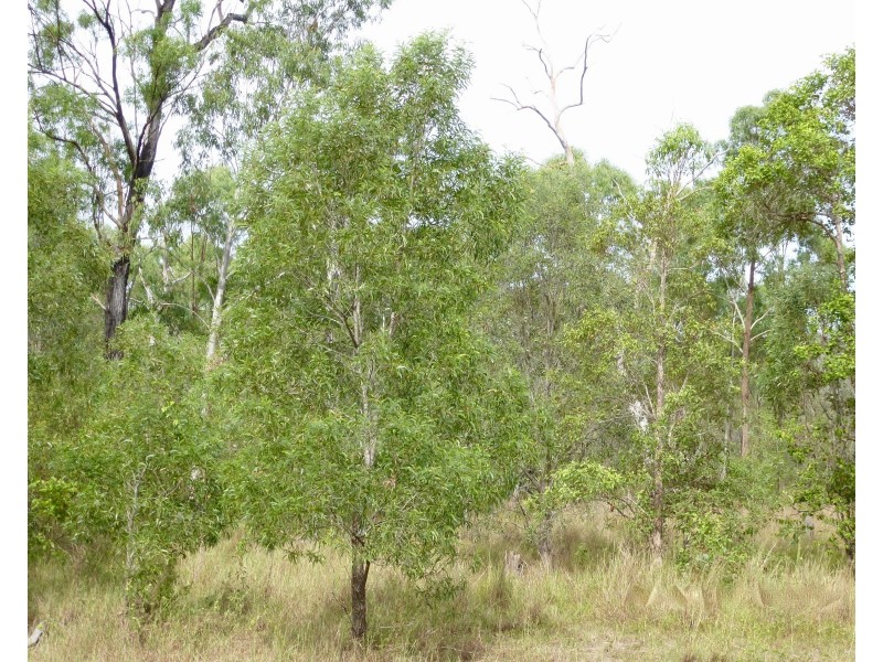 Lot 53 Dawsons Road, Berajondo QLD 4674