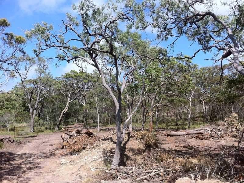 Lot 486, 24 Wilson Drive, Agnes Water QLD 4677