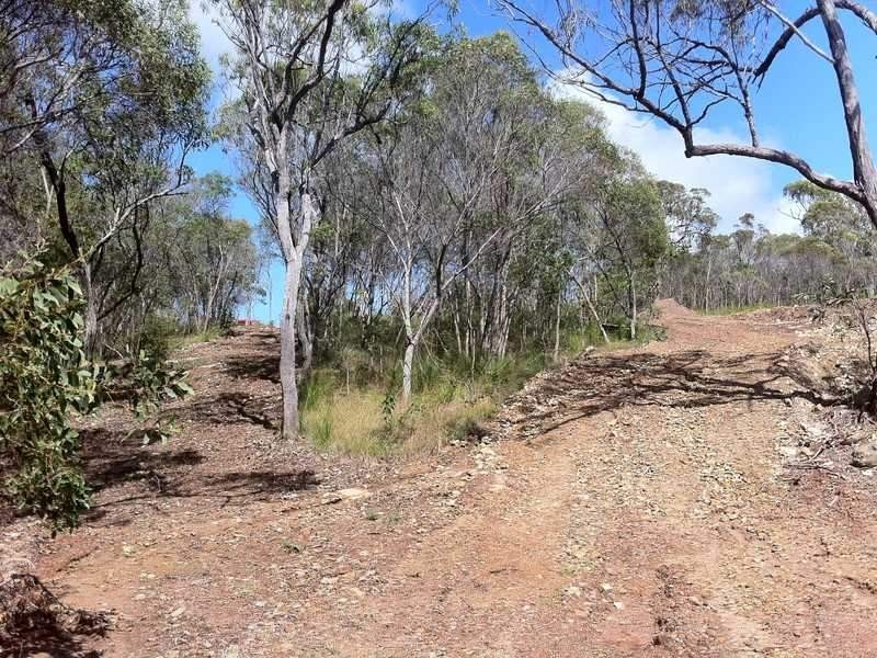 Lot 486, 24 Wilson Drive, Agnes Water QLD 4677