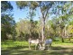 8 Chalmers Court, Agnes Water QLD 4677
