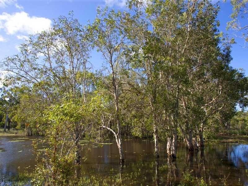 8 Chalmers Court, Agnes Water QLD 4677