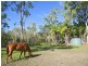 8 Chalmers Court, Agnes Water QLD 4677