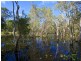 8 Chalmers Court, Agnes Water QLD 4677