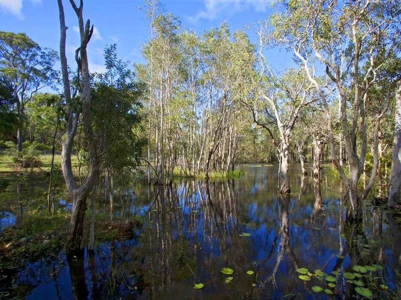 8 Chalmers Court, Agnes Water QLD 4677