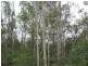 Lot 29 Creevey Drive, Agnes Water QLD 4677