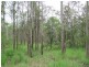 Lot 29 Creevey Drive, Agnes Water QLD 4677