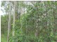 Lot 29 Creevey Drive, Agnes Water QLD 4677