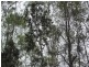 Lot 29 Creevey Drive, Agnes Water QLD 4677