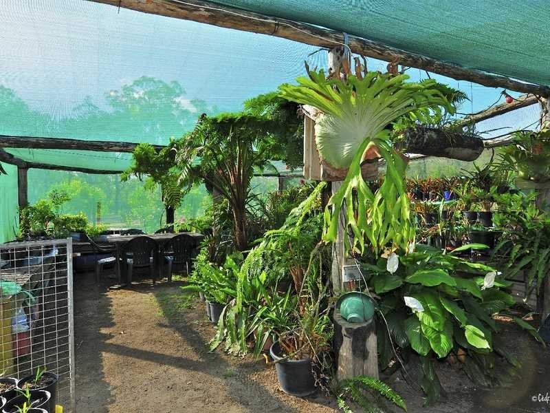 22 Dillon Rd, Captain Creek QLD 4677