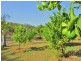 22 Dillon Rd, Captain Creek QLD 4677