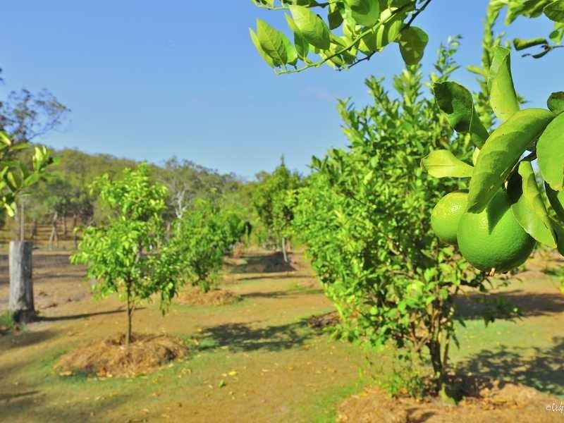 22 Dillon Rd, Captain Creek QLD 4677