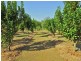 22 Dillon Rd, Captain Creek QLD 4677