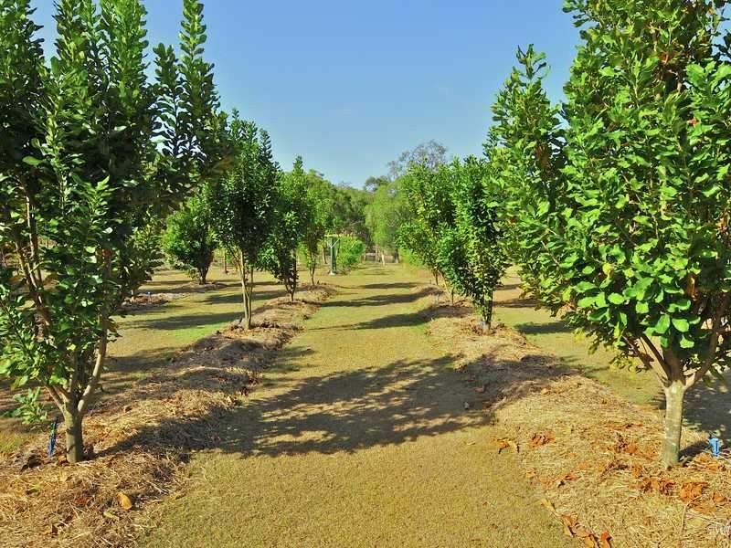 22 Dillon Rd, Captain Creek QLD 4677