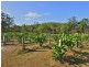 22 Dillon Rd, Captain Creek QLD 4677