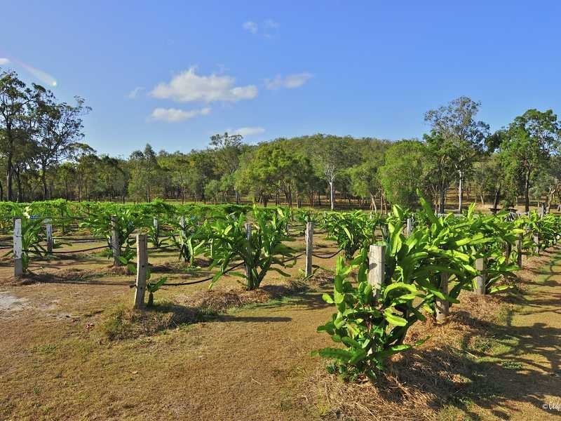 22 Dillon Rd, Captain Creek QLD 4677