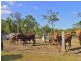 22 Dillon Rd, Captain Creek QLD 4677