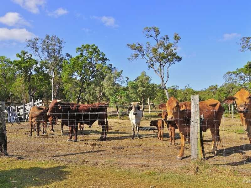 22 Dillon Rd, Captain Creek QLD 4677