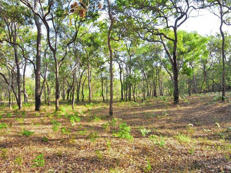 22 Dillon Rd, Captain Creek QLD 4677