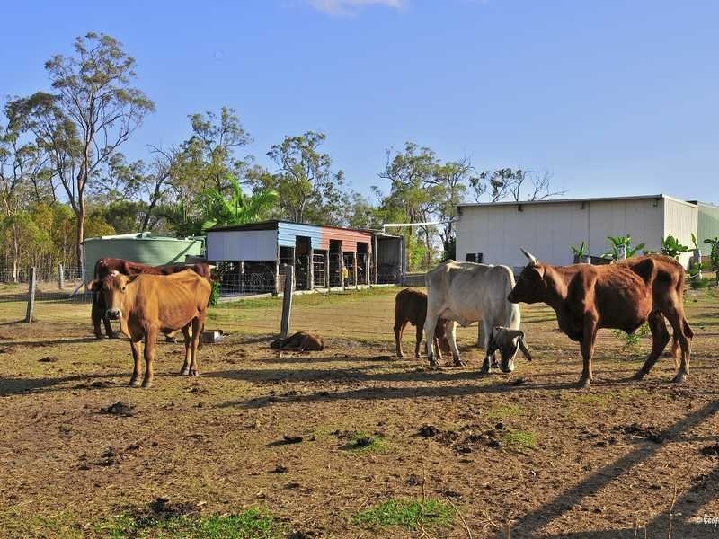 22 Dillon Rd, Captain Creek QLD 4677