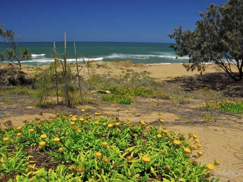 Lot 163, 552 Springs Road, Agnes Water QLD 4677