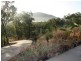 122 Josefski Road, Agnes Water QLD 4677