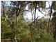 122 Josefski Road, Agnes Water QLD 4677