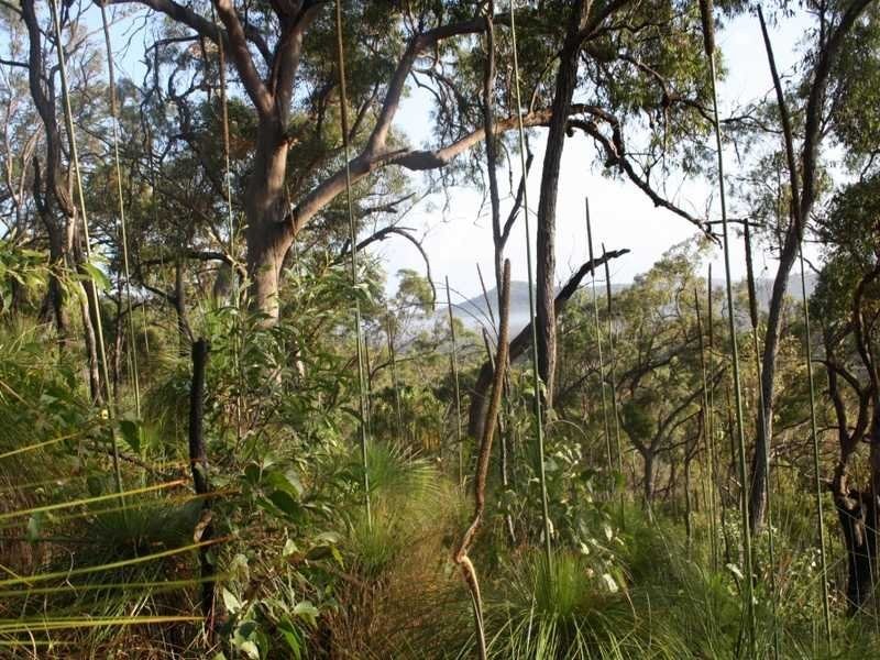 122 Josefski Road, Agnes Water QLD 4677