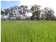 Lot 550 Anderson Way, Agnes Water QLD 4677