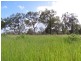 Lot 550 Anderson Way, Agnes Water QLD 4677