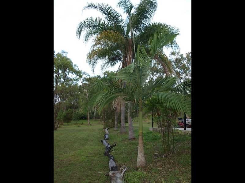 271 Innamincka Way, Agnes Water QLD 4677