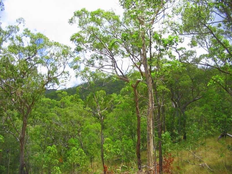 Captain Creek QLD 4677