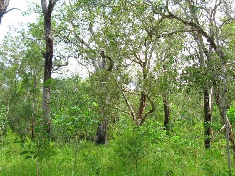 Captain Creek QLD 4677